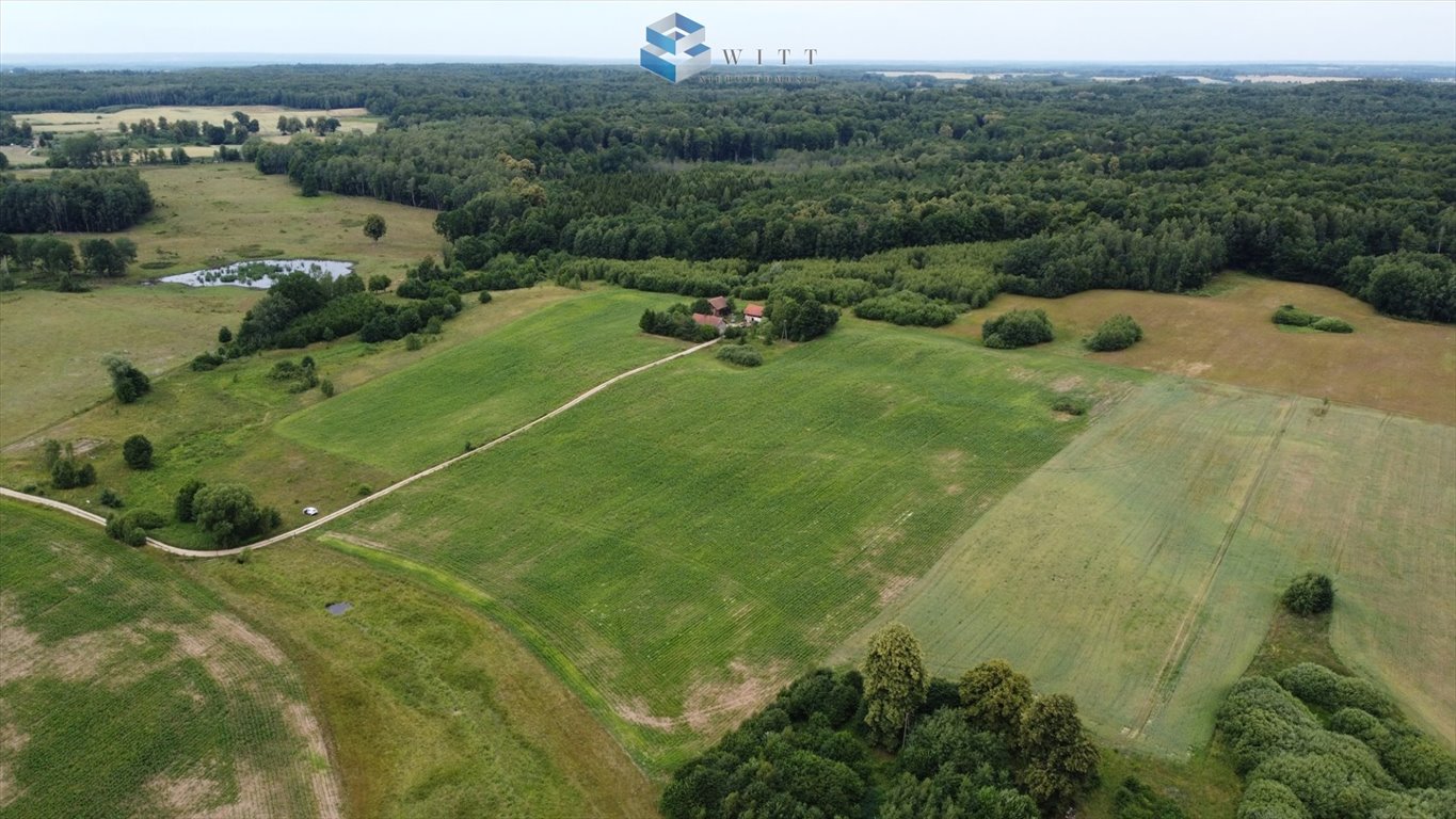 Działka budowlana na sprzedaż Morąg  1 500m2 Foto 9