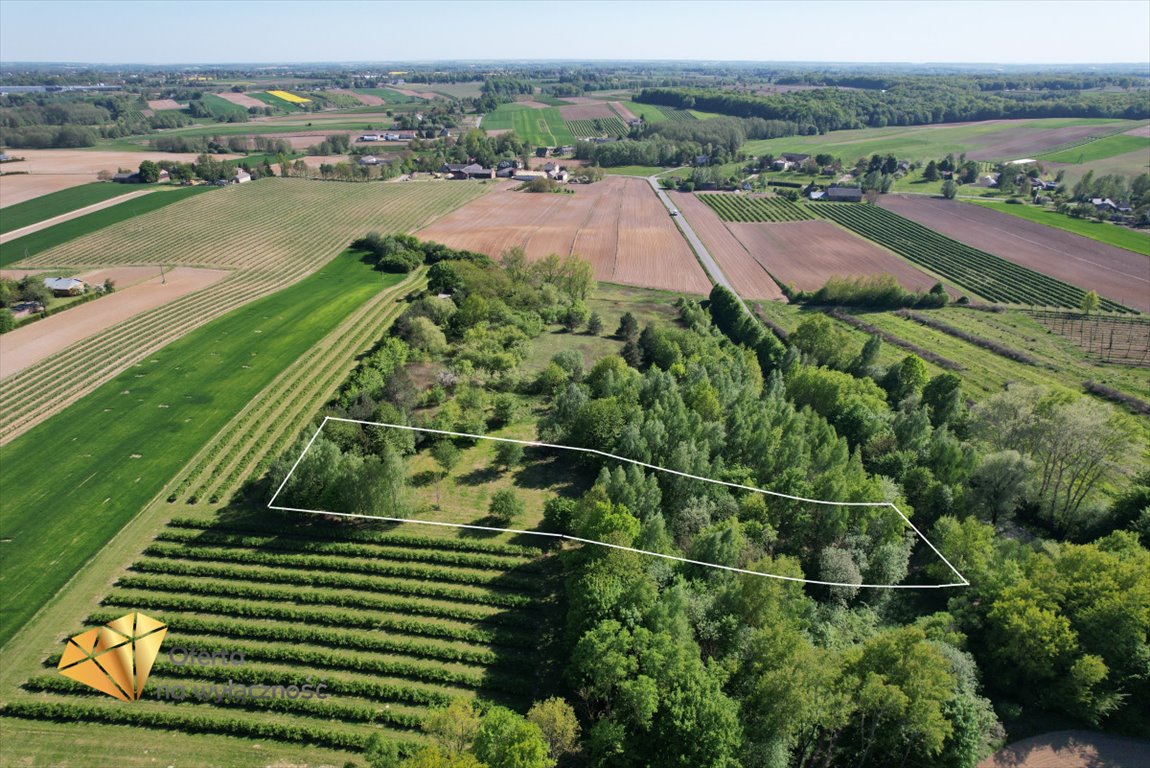 Działka budowlana na sprzedaż Bronice-Kolonia  3 653m2 Foto 6