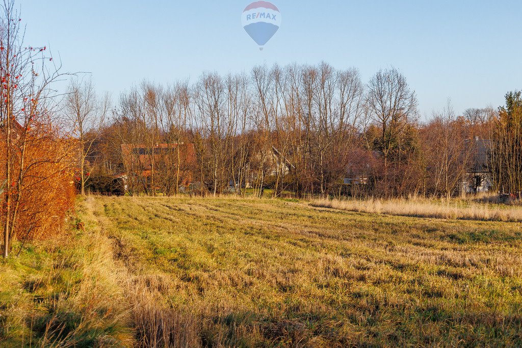 Działka budowlana na sprzedaż Roczyny  2 200m2 Foto 10