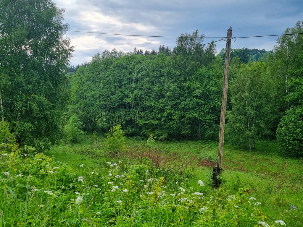 Działka inna na sprzedaż Niemojów  22 900m2 Foto 15