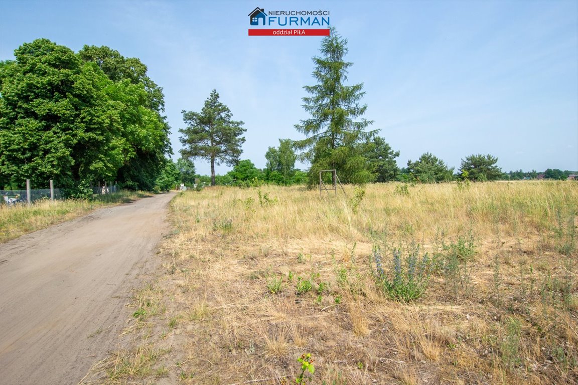 Działka inwestycyjna na sprzedaż Stobno  3 000m2 Foto 9