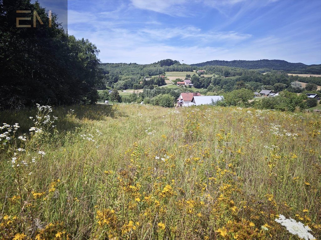 Działka rekreacyjna na sprzedaż Wysoka Strzyżowska  2 700m2 Foto 4