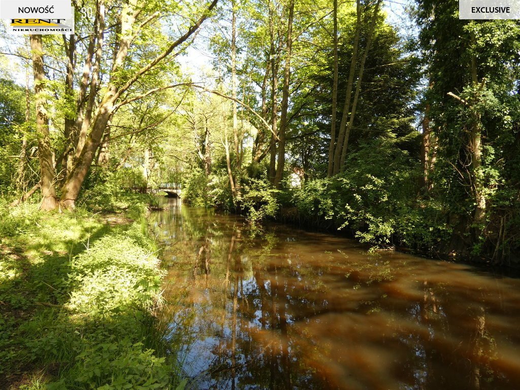 Działka budowlana na sprzedaż Łoźnica  3 004m2 Foto 8