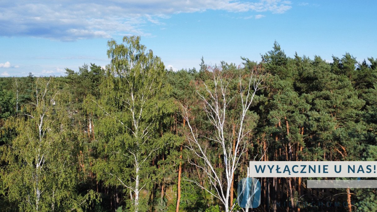 Działka 2083 m² pod zabudowę jednorodzinną, blisko Bolimowskiego Parku Tomaszew  2 083m2 Foto 1