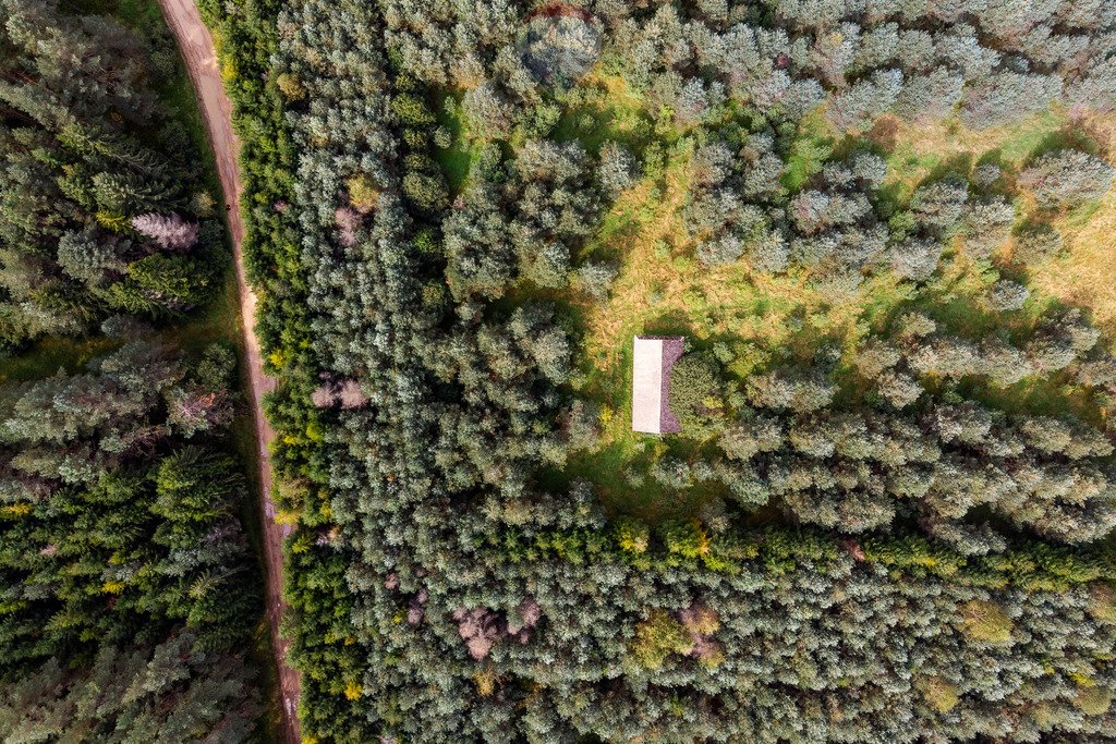 Działka rolna na sprzedaż Jabłonka, Leśna  20 000m2 Foto 3