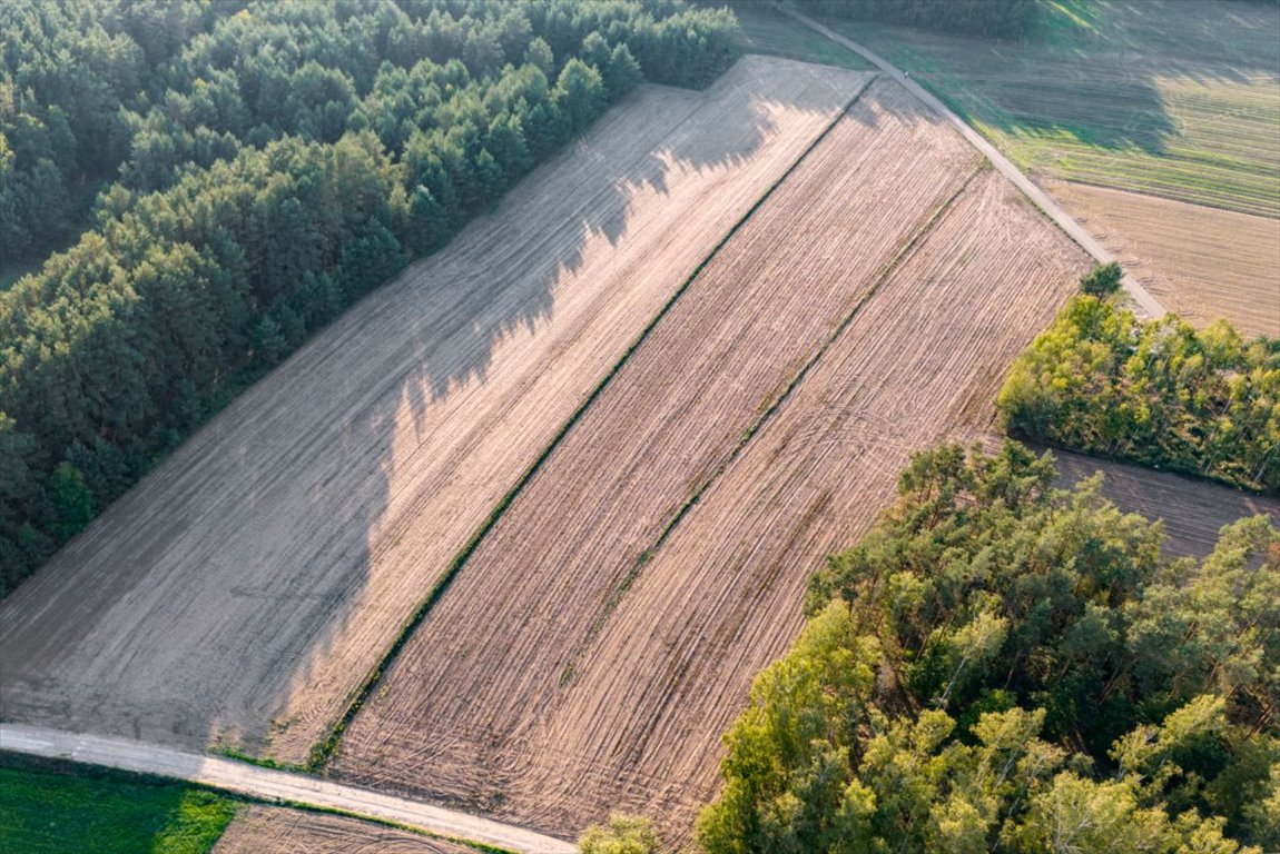 Działka rolna na sprzedaż Jesionka  6 800m2 Foto 11