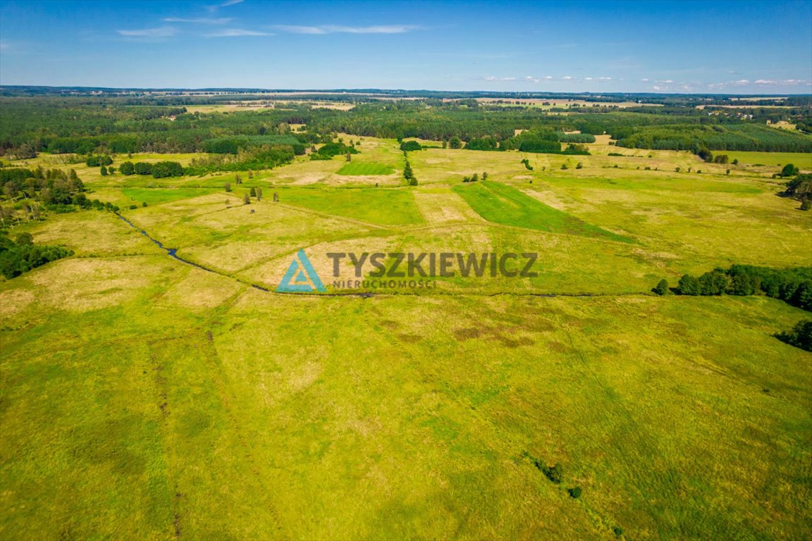 Działka rolna na sprzedaż Poborowo  9 200m2 Foto 12