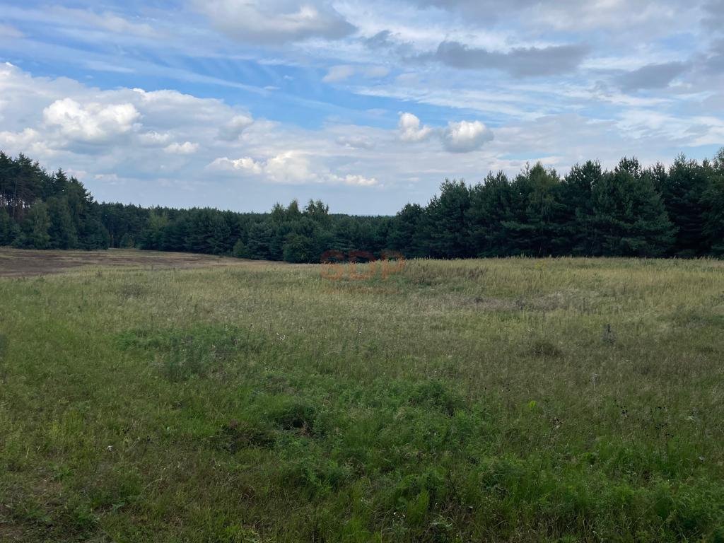 Działka budowlana na sprzedaż Kobyla Góra  3 343m2 Foto 1