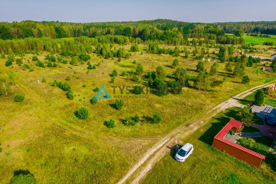 Działka budowlana na sprzedaż Borcz  3 286m2 Foto 6