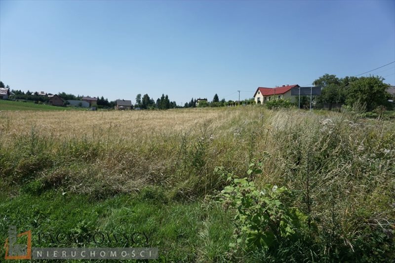 Działka budowlana na sprzedaż Cianowice Duże 2 000m2 Foto 1 Działka budowlana na sprzedaż Cianowice Duże 2 000m2 Foto 1