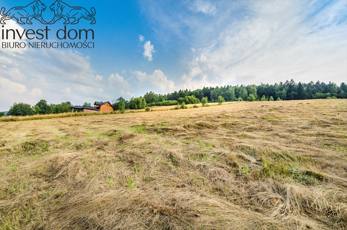 Działka budowlana na sprzedaż Małastów  24 800m2 Foto 10