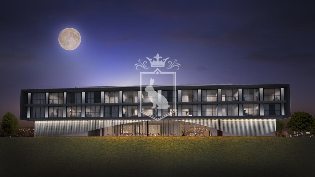 Działka inwestycyjna na sprzedaż Lublin, Aleje Tysiąclecia  2 436m2 Foto 9