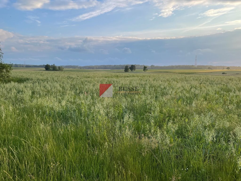 Działka budowlana na sprzedaż Przęsocin  802m2 Foto 1