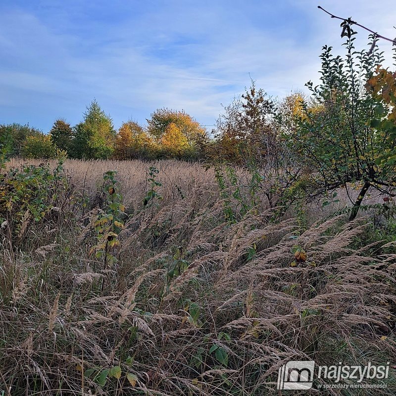 Działka rolna zadrzewiona 2992 m2 blisko jeziora i ROD Nowogard, Obrzeża miasta  2 992m2 Foto 1