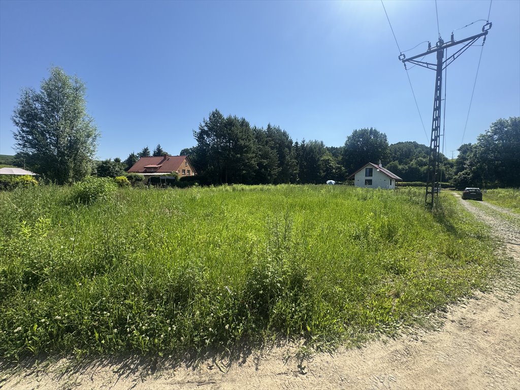 Zdjęcie 4