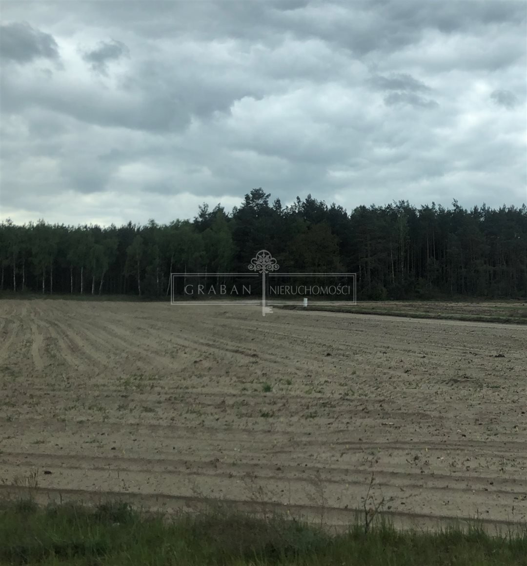Zapraszam do zakupu działki 3618 m² z warunkami zabudowy Rynarzewo  3 618m2 Foto 1