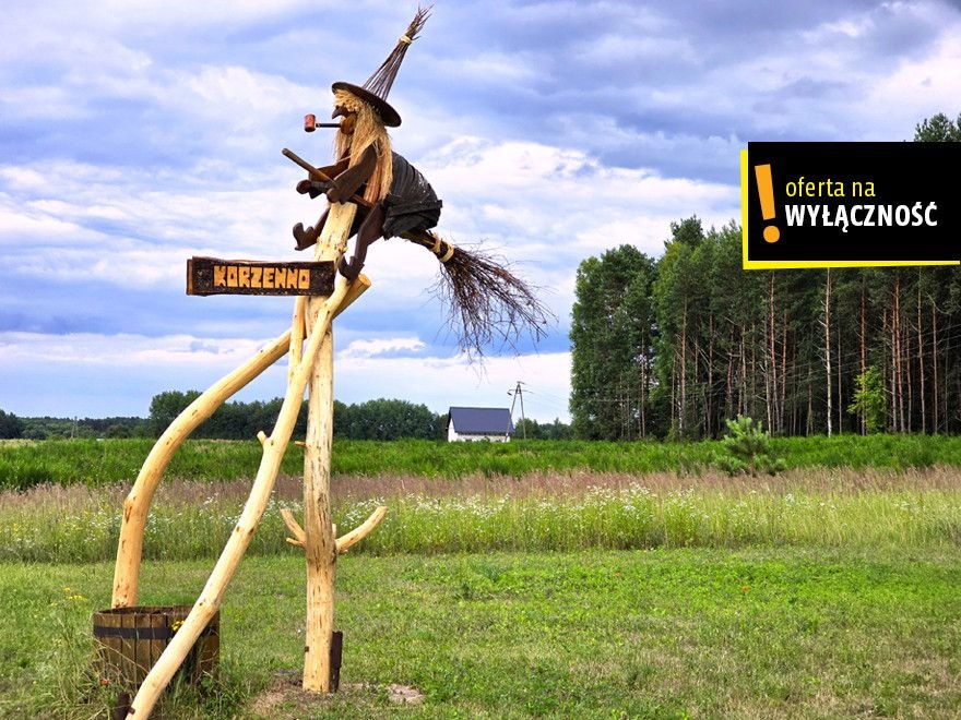 Działka 1930 m² w Korzennie z mediami i dużymi sosnami Korzenno  1 930m2 Foto 1