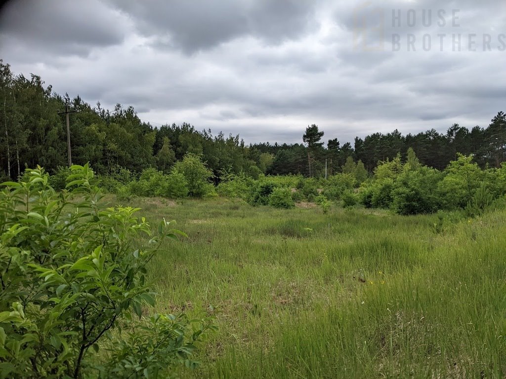 Działka budowlana na sprzedaż Chełsty  1 000m2 Foto 4