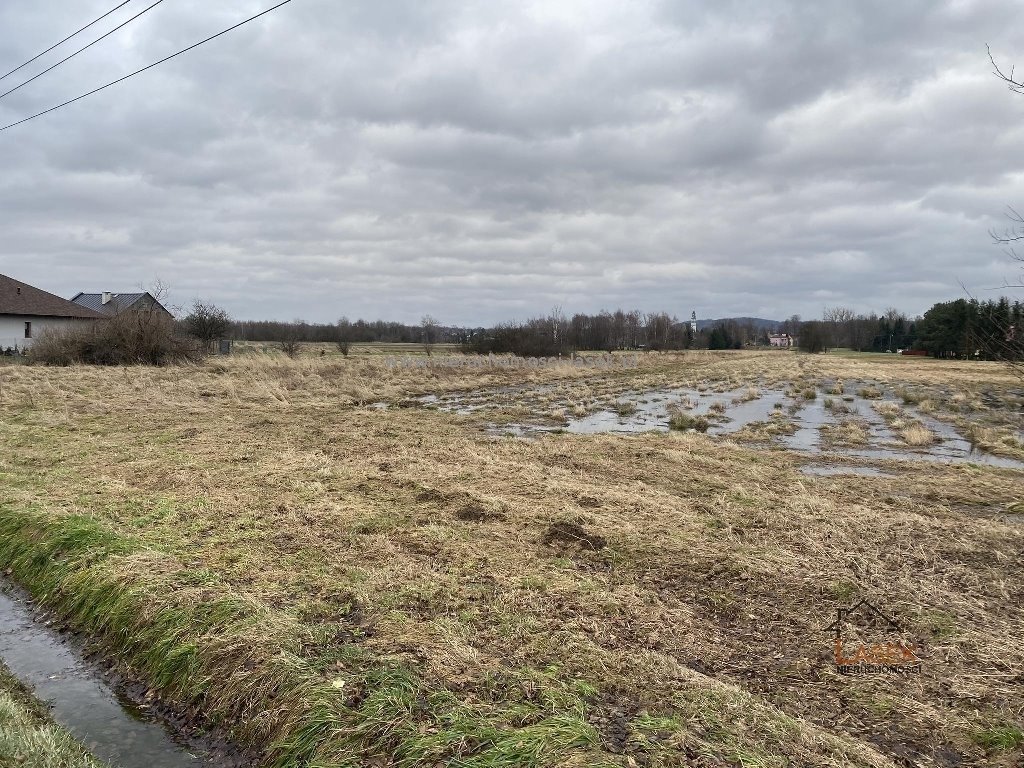 Działka budowlana na sprzedaż Brzeźnica  10 000m2 Foto 1