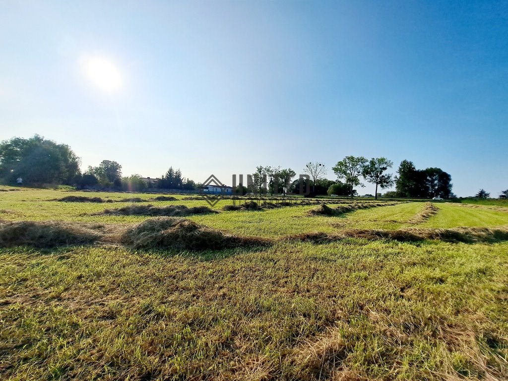 Działka inwestycyjna na sprzedaż Borowa, Klonowa  11 265m2 Foto 3