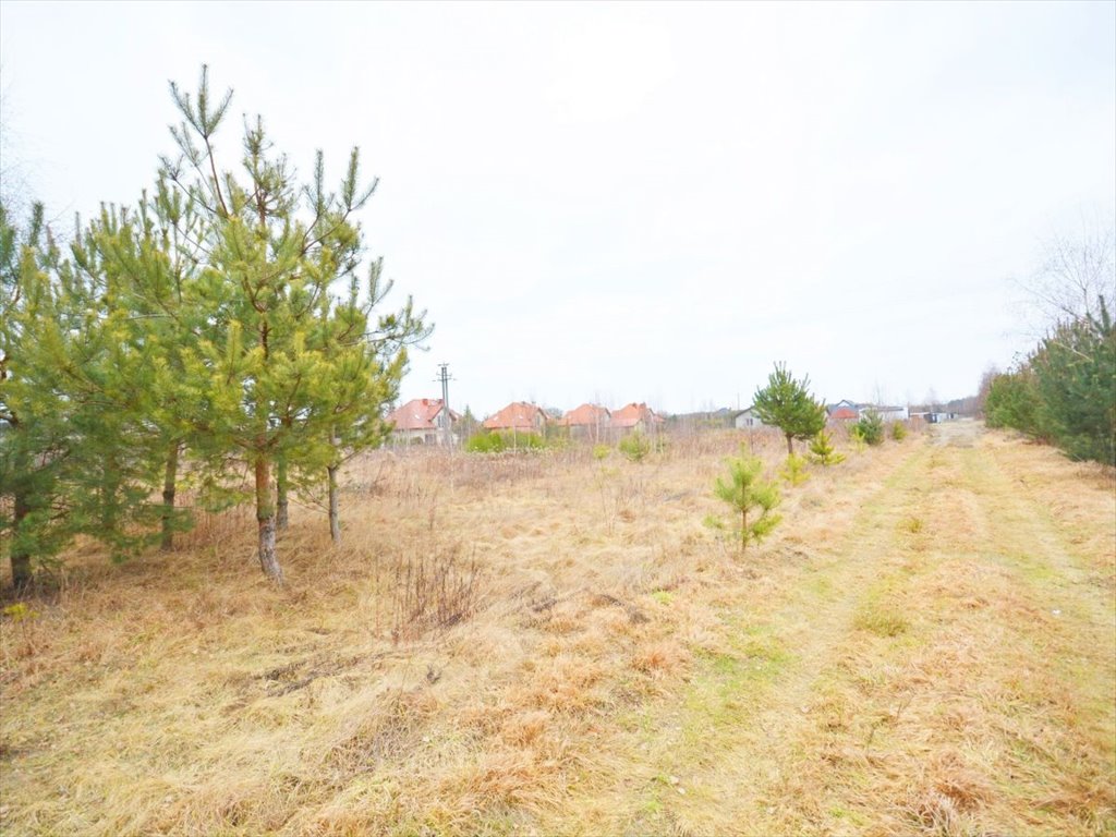 Działka budowlana na sprzedaż Piskórka  3 000m2 Foto 3