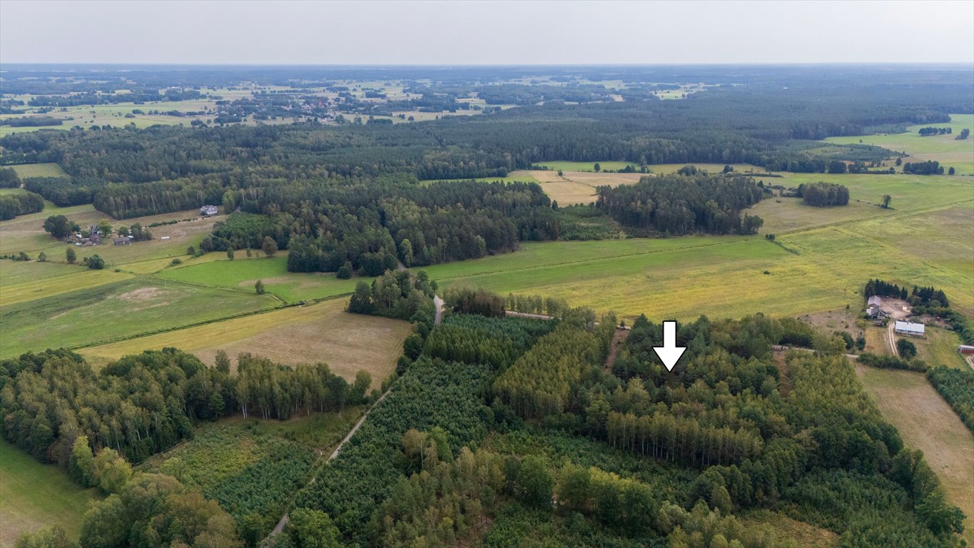 Działka budowlana na sprzedaż Wały  3 928m2 Foto 7