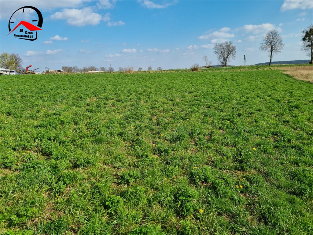 Działka budowlana na sprzedaż Szubin  3 743m2 Foto 4