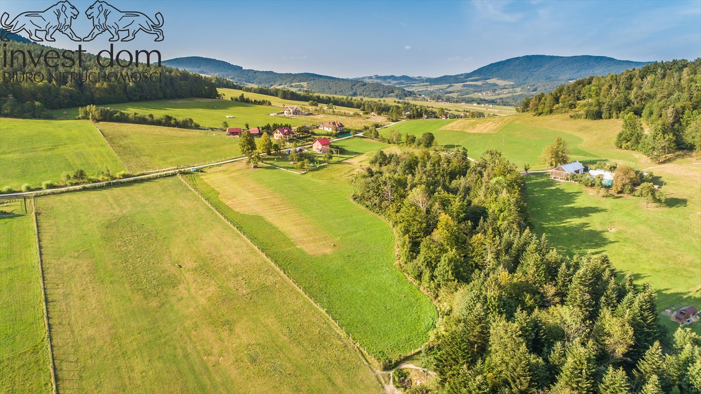 Działka budowlana na sprzedaż Florynka  1 244m2 Foto 11