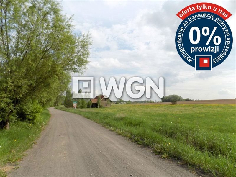 Działka inna na sprzedaż Krzywe, - 3 000m2 Foto 1 Działka inna na sprzedaż Krzywe, - 3 000m2 Foto 1