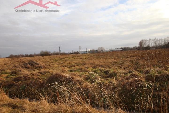 Na sprzedaż duże działki 56 ar w Zręcinie z mediami Zręcin  5 636m2 Foto 1
