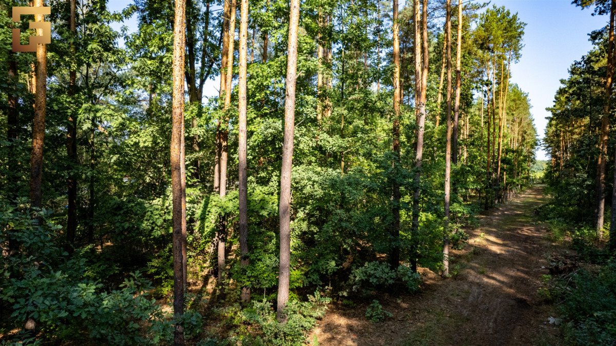 Działka budowlana na sprzedaż Warszawa, Wawer, Ezopa  1 508m2 Foto 4