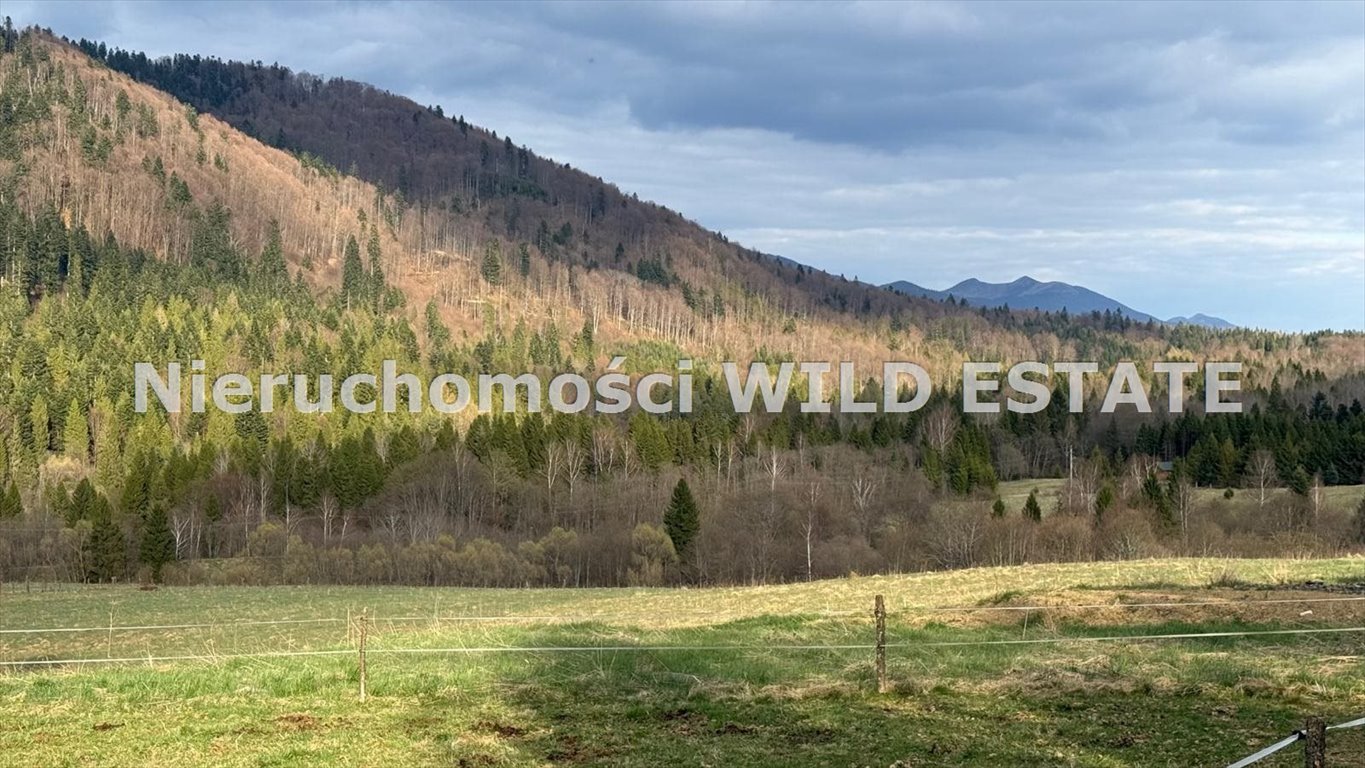 Sprzedam działkę 0,52 ha z warunkami zabudowy w Bieszczadach Cisna, Krzywe  5 242m2 Foto 1