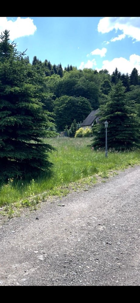 Działka budowlana na sprzedaż Lesko, Lesko  3 000m2 Foto 7