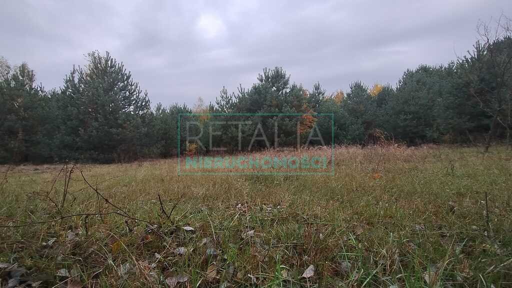Działka budowlana na sprzedaż Korytów A  1 000m2 Foto 1