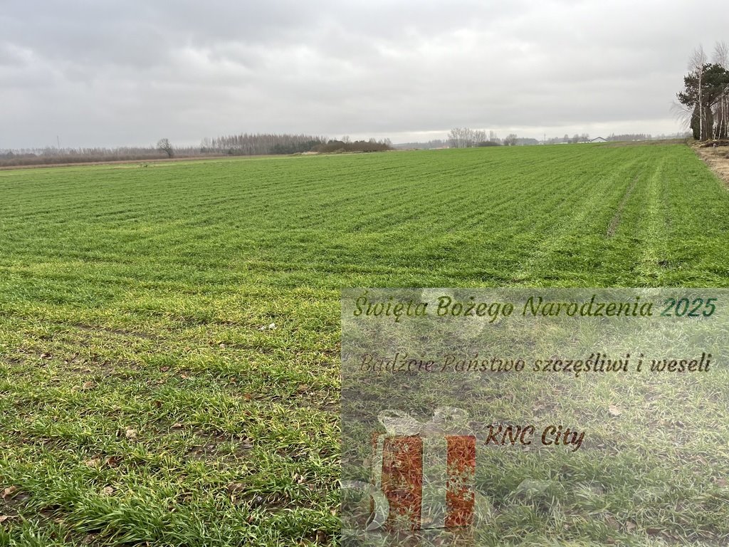 Działka budowlana na sprzedaż Babin  11 082m2 Foto 1