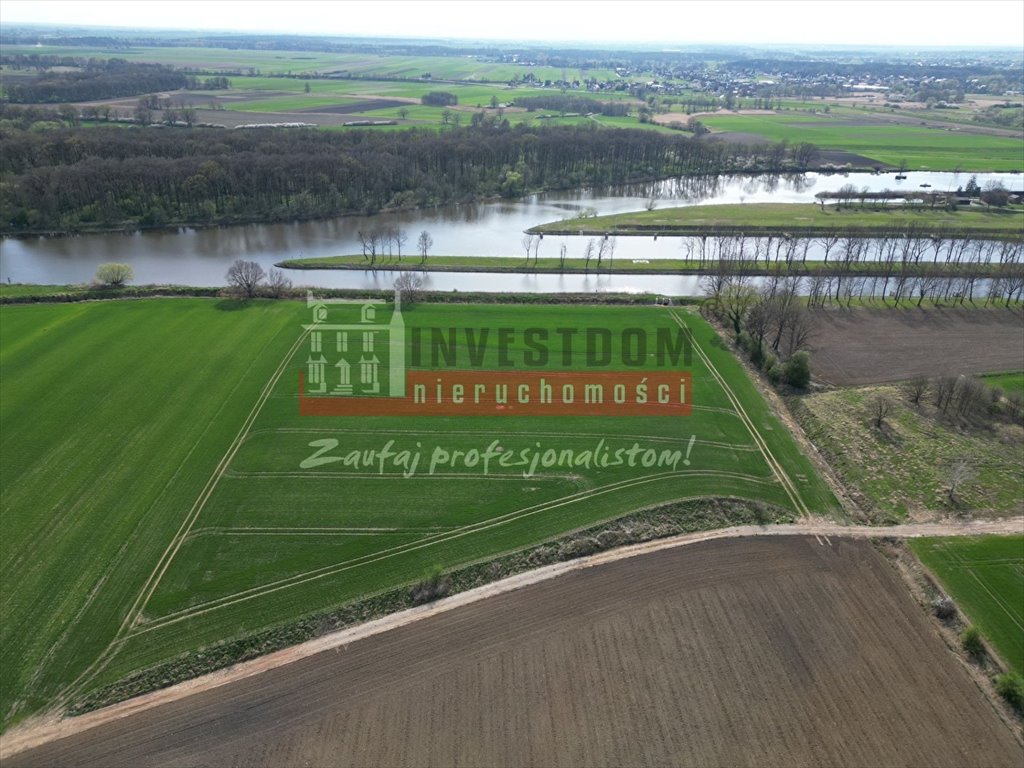 Działka z widokiem na Odrę, 32 319 m2, Obrowiec Obrowiec  32 319m2 Foto 1