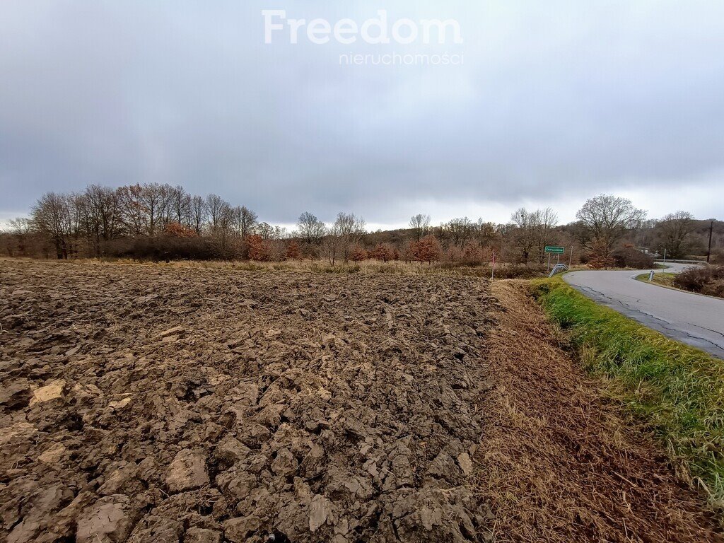 Działka budowlana na sprzedaż Chrząstowice, Długa  5 856m2 Foto 3