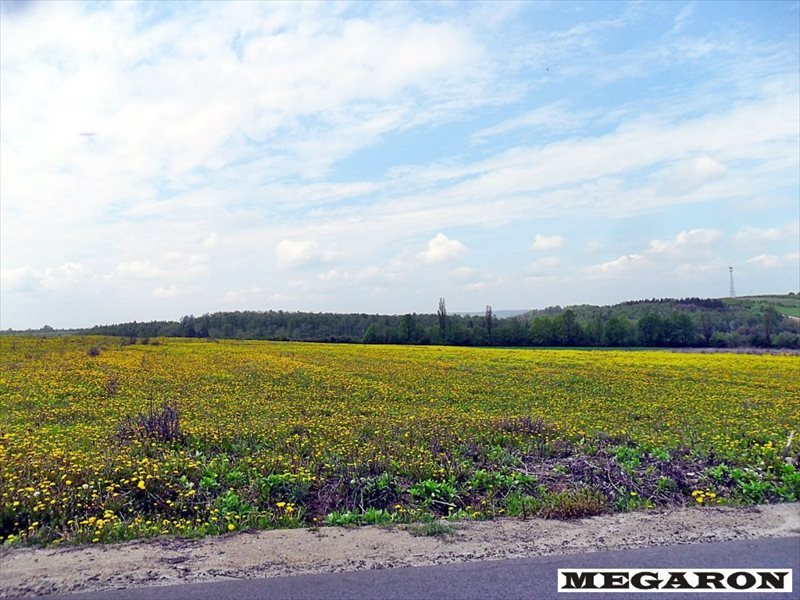Działka inwestycyjna pod handel i usługi z dostępem do mediów Zawada  7 192m2 Foto 1