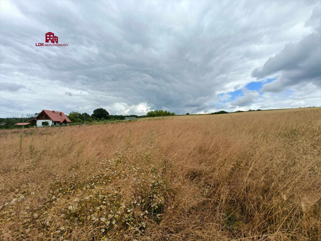 Działka budowlana na sprzedaż Przytok, Lubuska  53 280m2 Foto 5