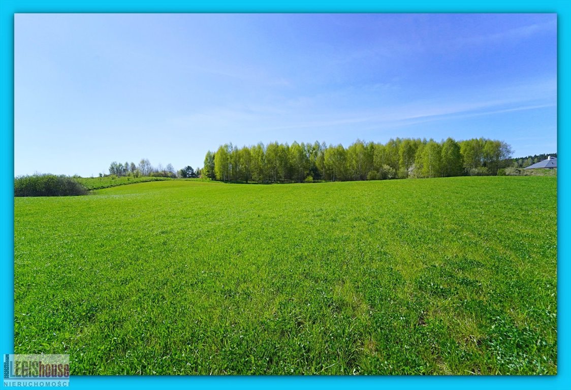 Działka budowlana na sprzedaż Różnowo  3 004m2 Foto 6