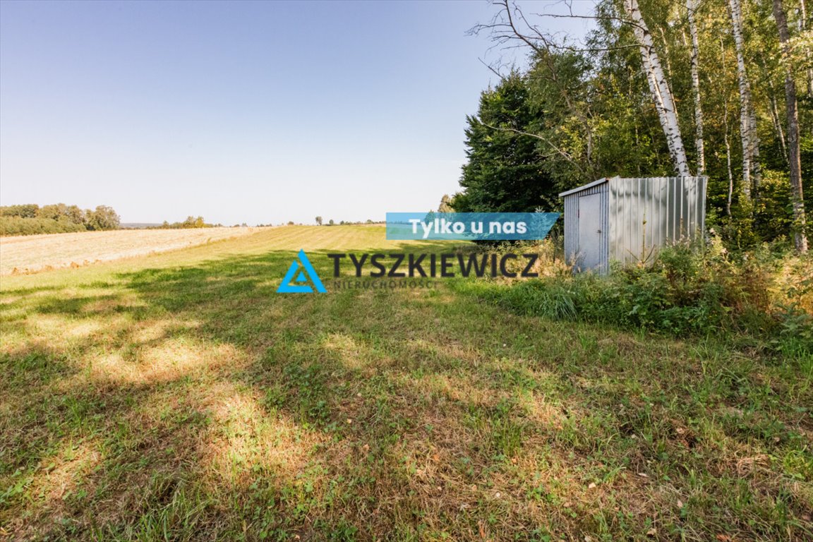 Działka rolna na sprzedaż Ełganowo, Macierzy Szkolnej  6 500m2 Foto 1