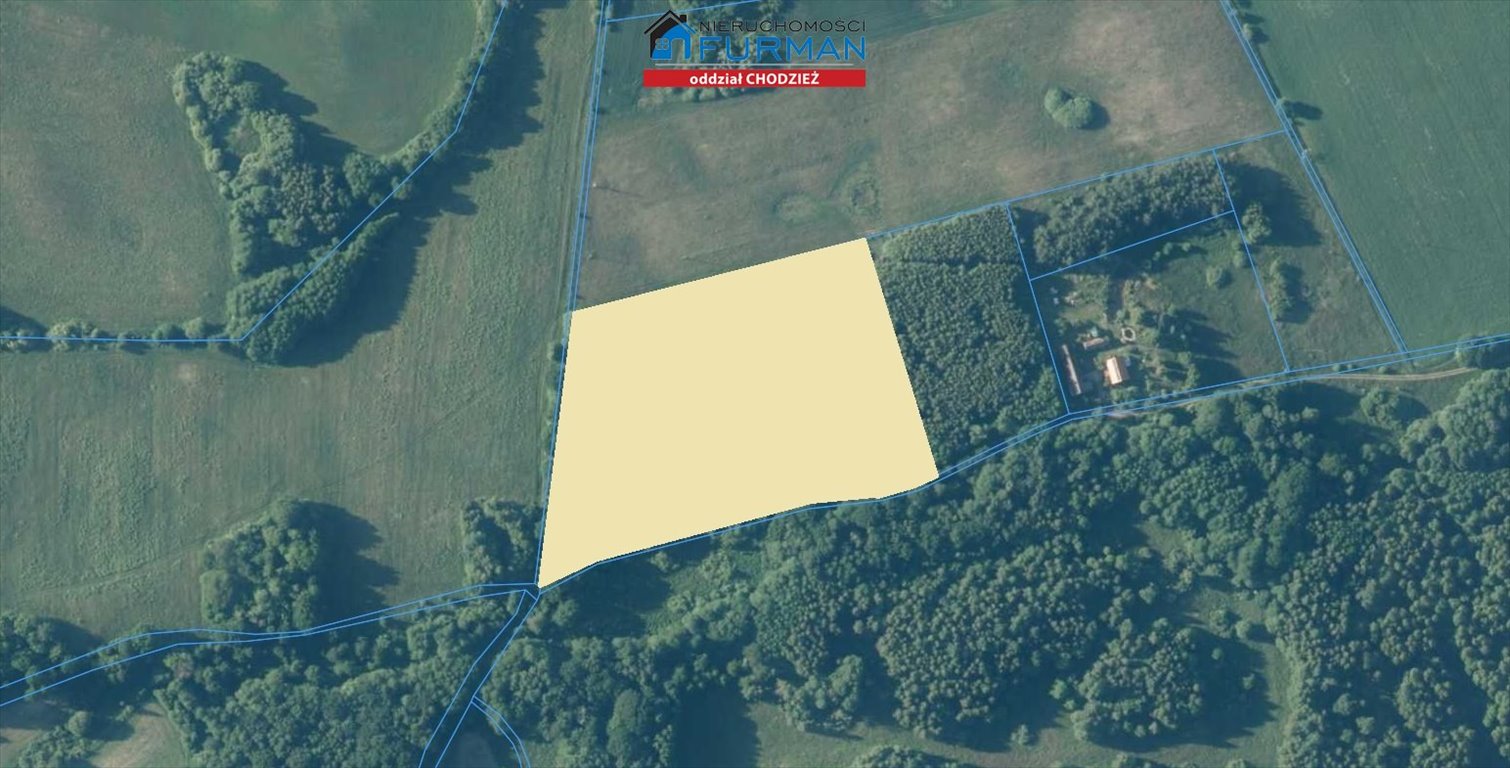 Zapraszam do zakupu działki 25 463 m² z warunkami zabudowy Popielewo  25 463m2 Foto 1
