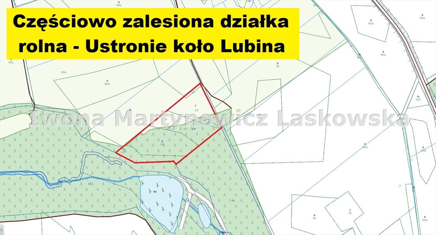 Działka 15 000 m² z lasem i potencjałem paneli fotowoltanicznych Ustronie  15 000m2 Foto 1