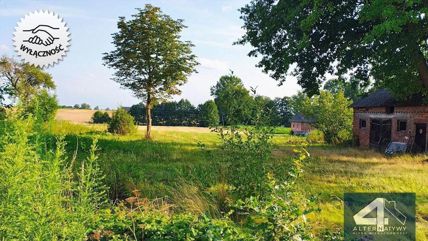 Zdjęcie 3