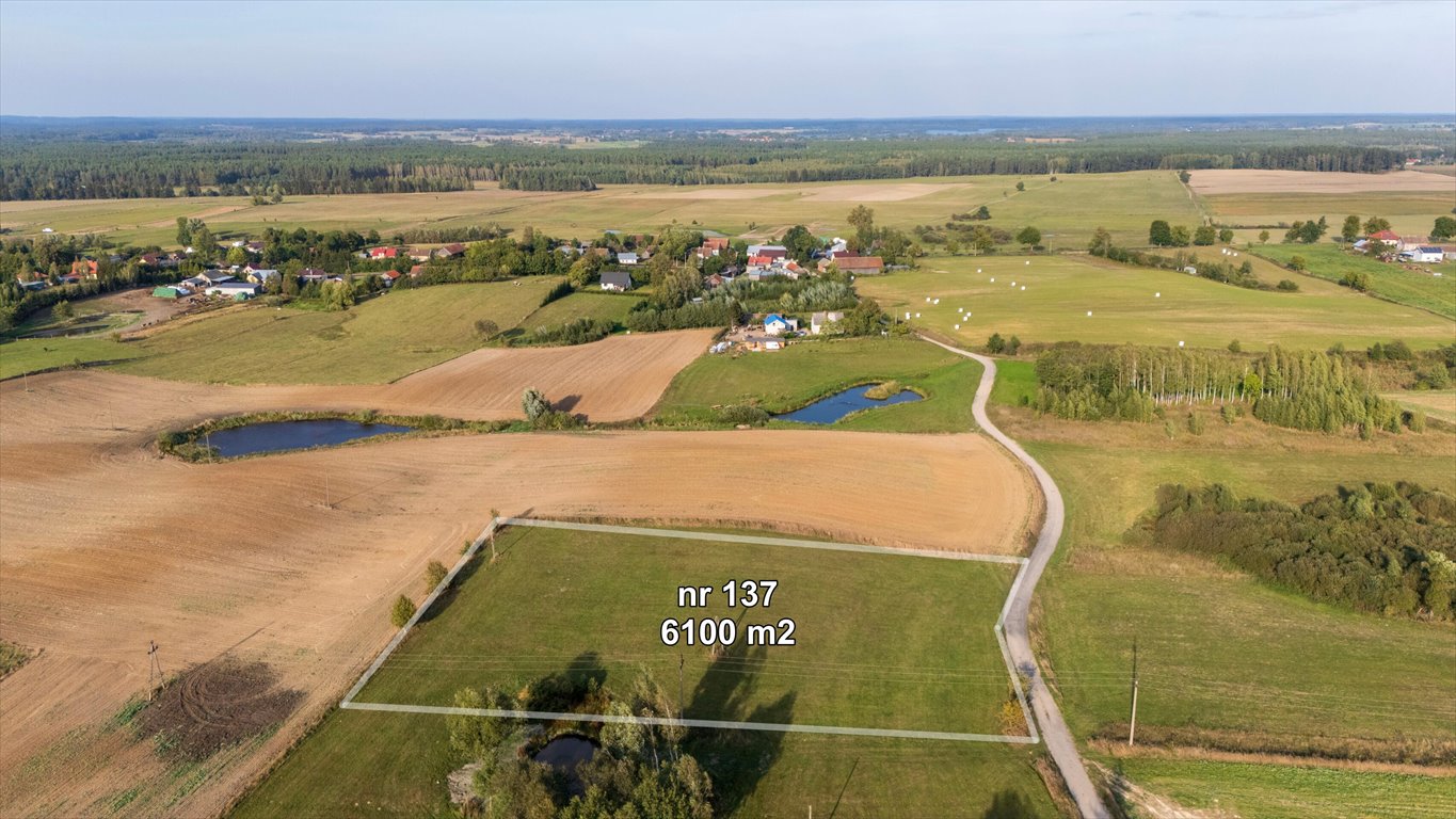 Działka rolna na sprzedaż Olszewki  13 200m2 Foto 3