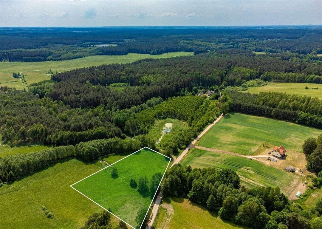 Działka budowlana na sprzedaż Kochanówka  9 600m2 Foto 1