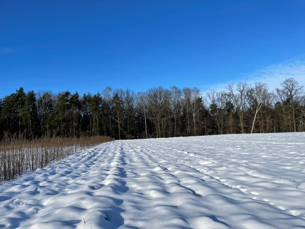 Działka budowlana na sprzedaż Kowalewko, Szyjki  1 070m2 Foto 2