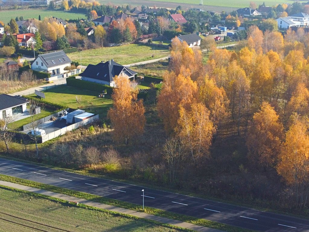 Działka 1544 m2 z pięknymi brzozami i pełną infrastrukturą Sady, Topolowa  1 544m2 Foto 1