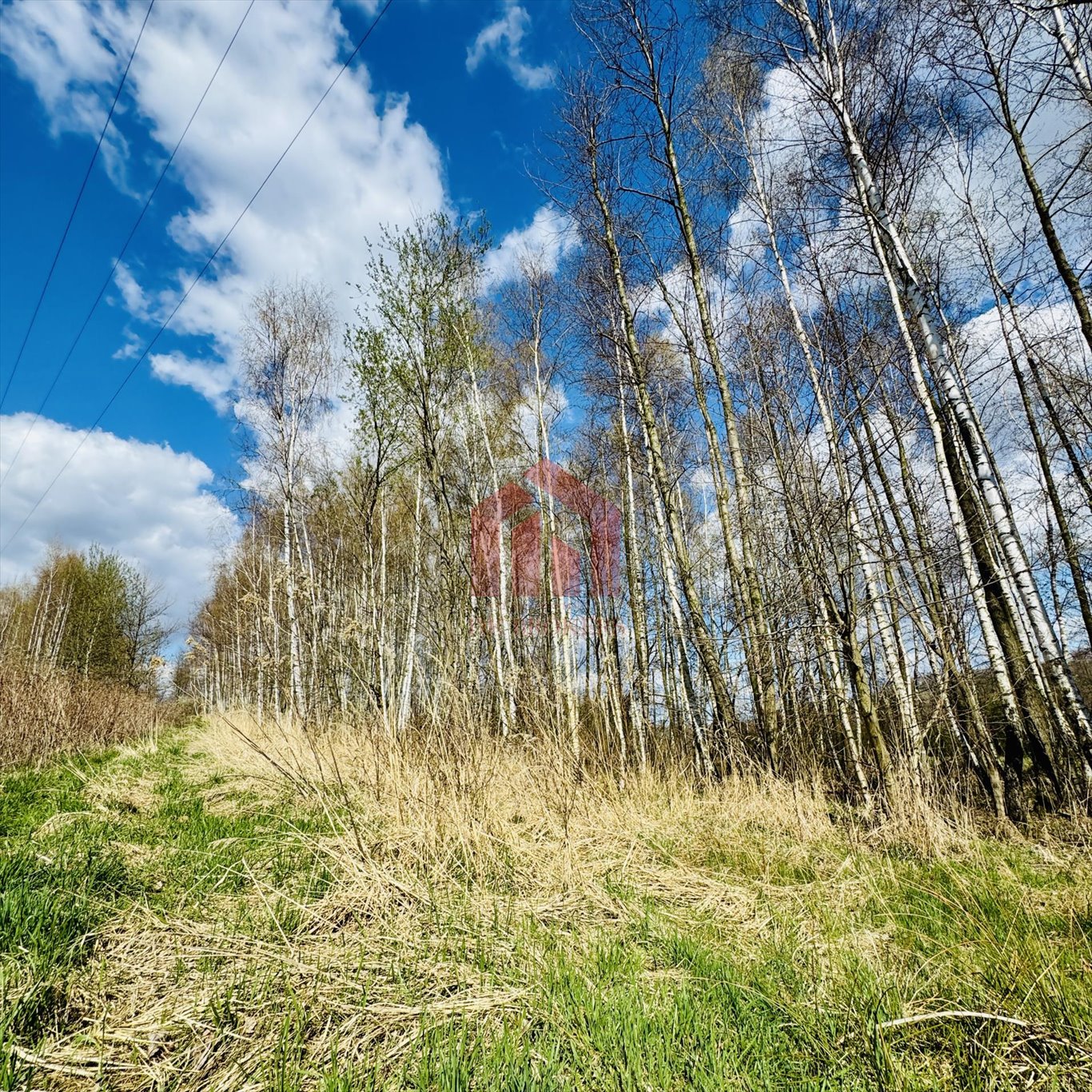 Działka inwestycyjna na sprzedaż Rzeszów, Przybyszówka, Zielone Wzgórze  4 100m2 Foto 1