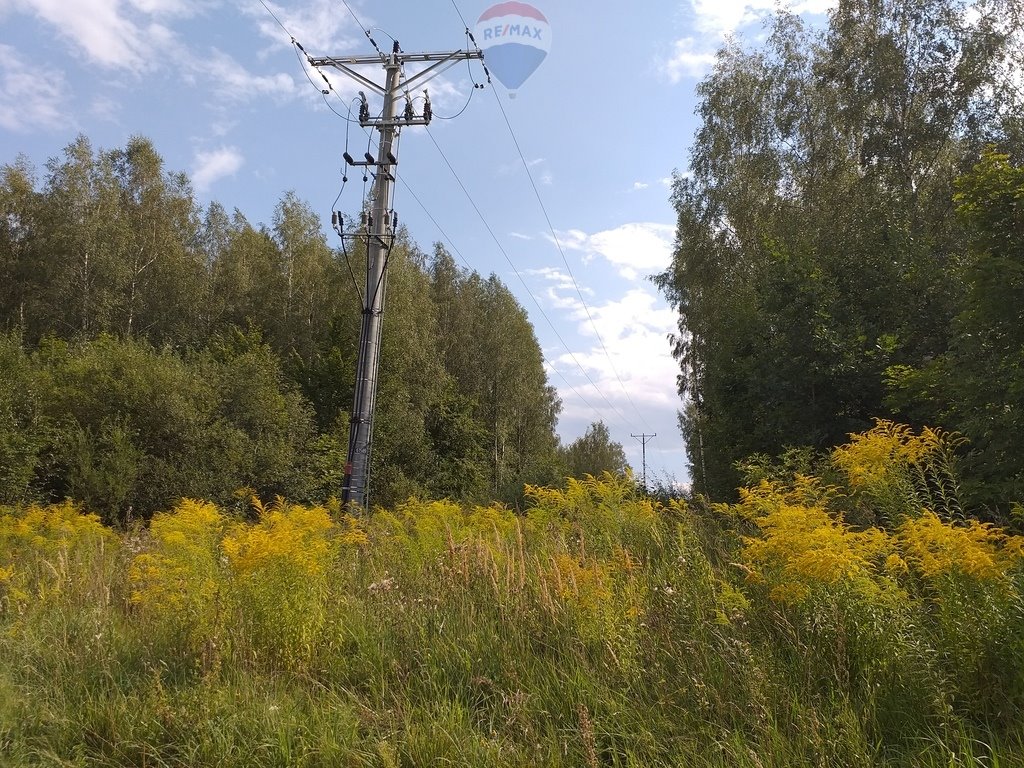 Działka inwestycyjna na sprzedaż Lembruk  28 866m2 Foto 3